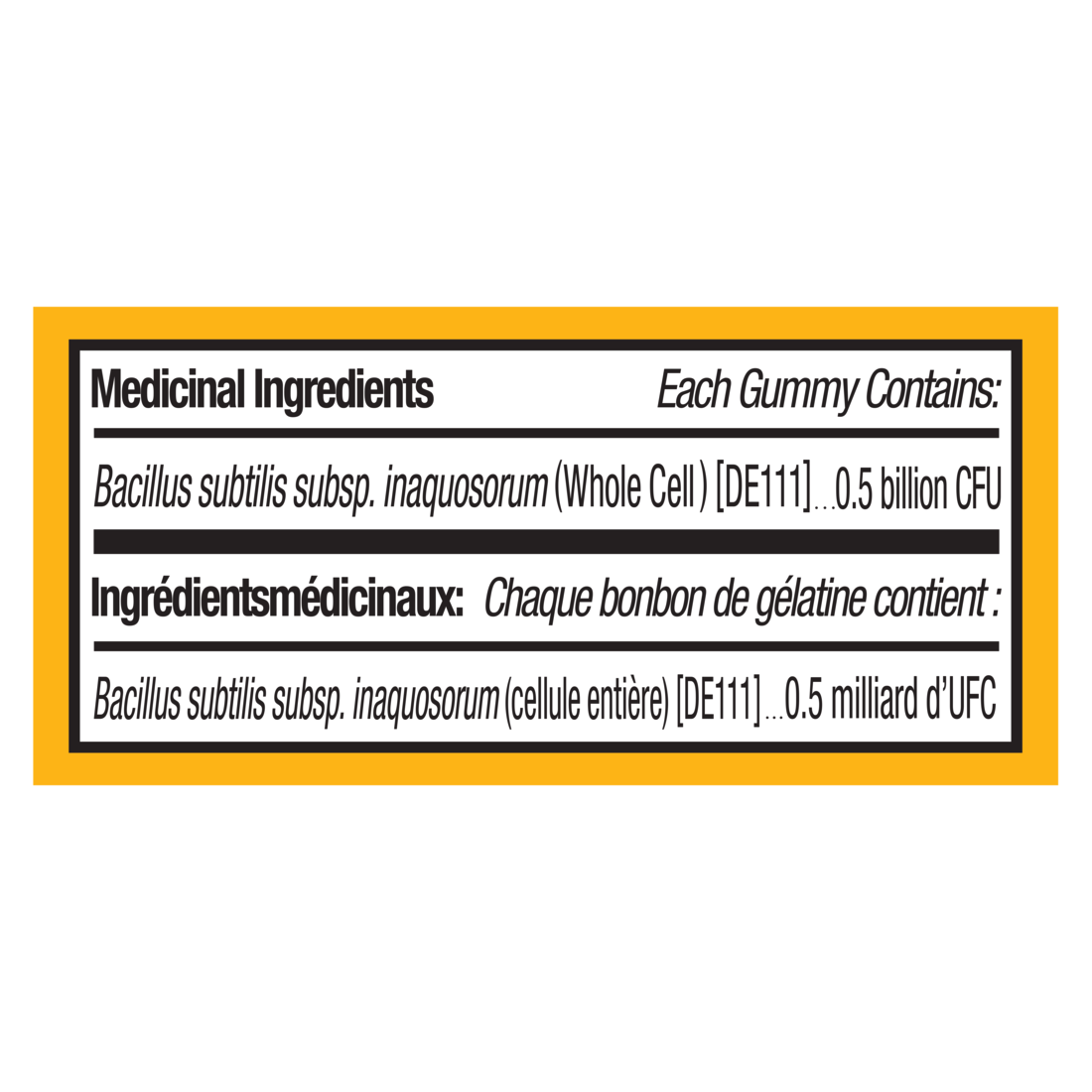 Mangue probiotique